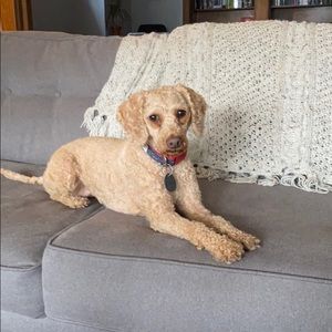 Meet your Posher, Vanessa